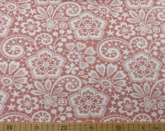 0,75m BW-Jersey Lace altrosa weiß