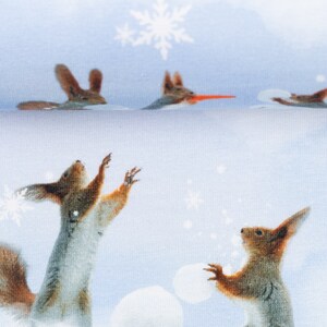 以下が含まれることがあります： 雪片が舞う青い背景に、2匹のリス。1匹は前足を上げていて、もう1匹は雪玉を持っています。