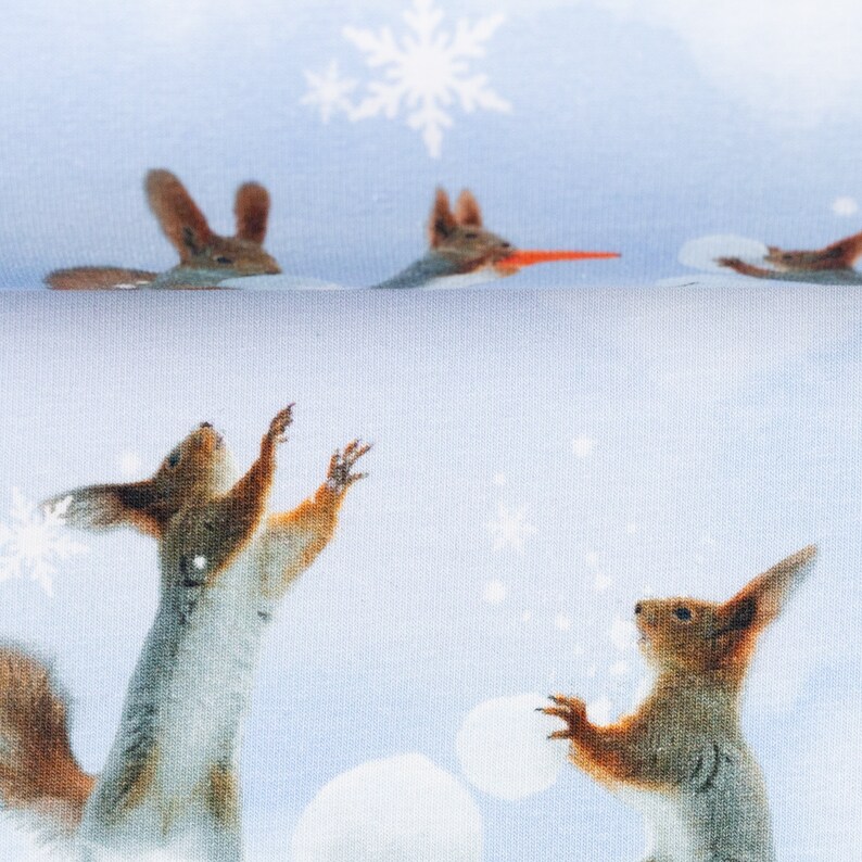 以下が含まれることがあります： 雪片が舞う青い背景に、2匹のリス。1匹は前足を上げていて、もう1匹は雪玉を持っています。