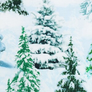 以下が含まれることがあります： 白い雪に覆われた様々な常緑樹が、薄い青色の空を背景に、雪景色を描いています。