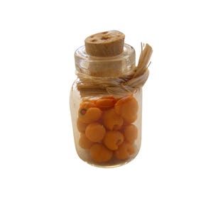 Op de afbeelding: Een kleine, heldere glazen fles gevuld met oranje, bolvormige objecten. De fles is afgesloten met een kurken stopper en vastgebonden met raffia. De objecten binnenin lijken zaden of kleine vruchten te zijn.