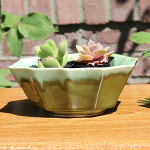 May include: Three small succulent plants in black pots, two in a green ceramic bowl and one on a wooden table. The bowl has a unique, wavy design.