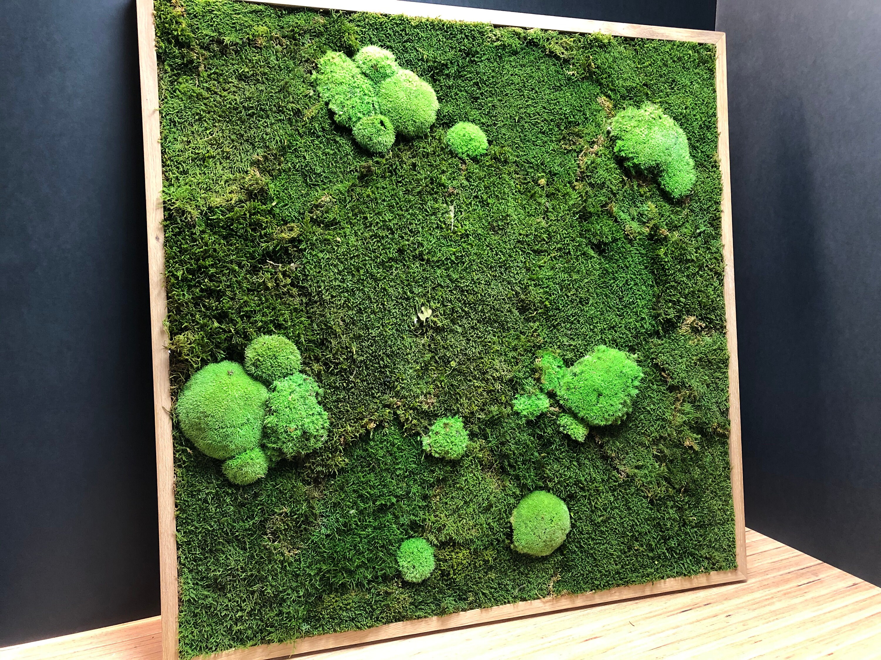 Cadre Végétal en Chêne Massif Mousses Stabilisées