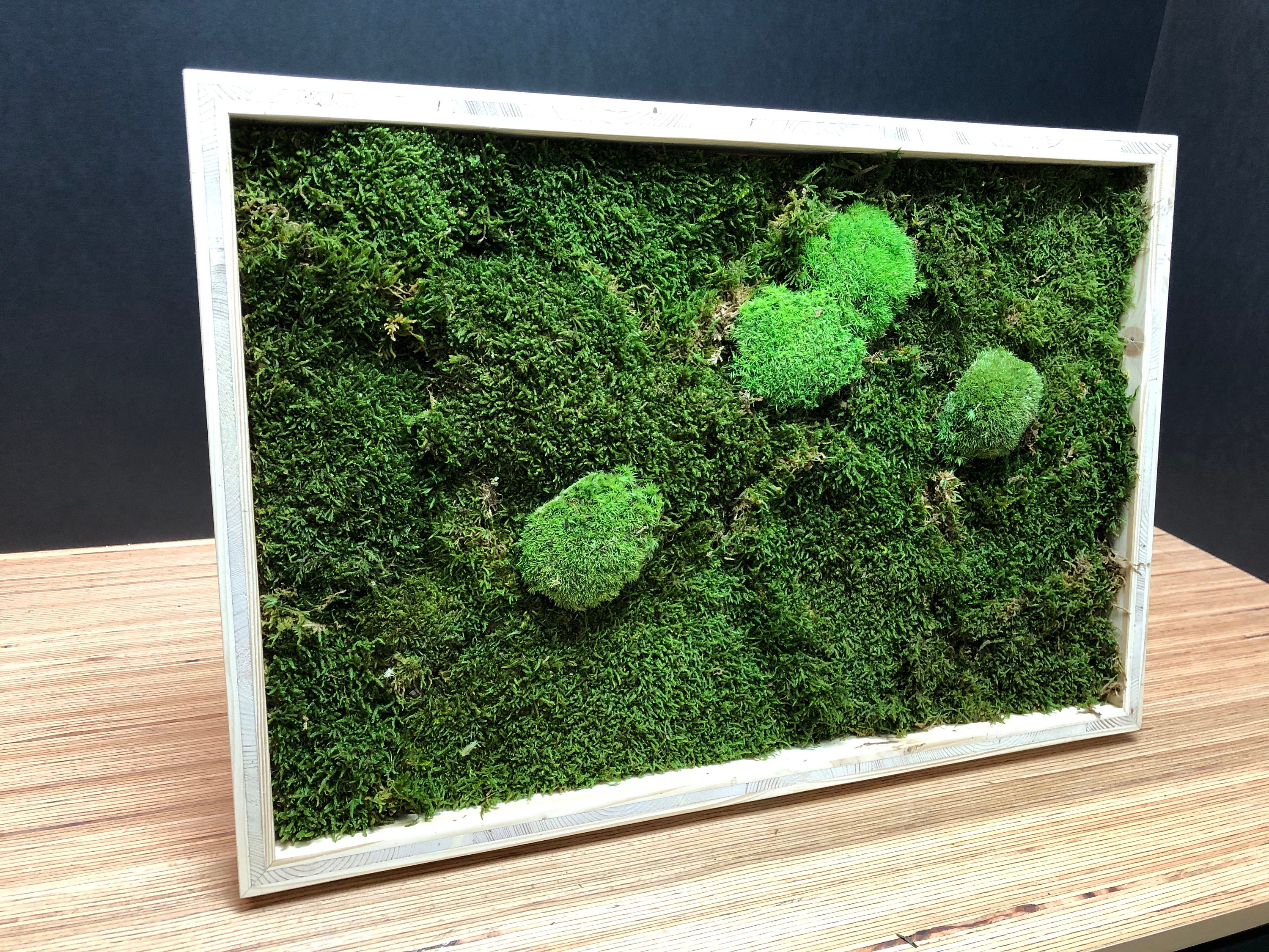 Cadre Végétal en Épicéa Mousse Végétale Stabilisée