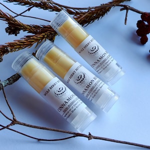Cinnamon Bun Lip Balm: Organic Shea Butter, Sweet & Spicy