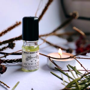 Ancient Forest - Oak Moss, Woods, Earth, Uplifting Perfume Oil, Rollerball Perfume Oils, Witchy Fragrances, Cruelty Free