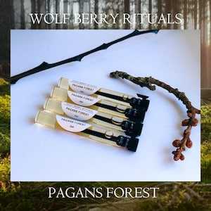 Pagans Forest Perfume Oil Sample – Dark Patchouli, Earthy Resin Scent, Travel Size Fragrance, Witchcraft Gift, Pagan Ritual Oil, Spiritual