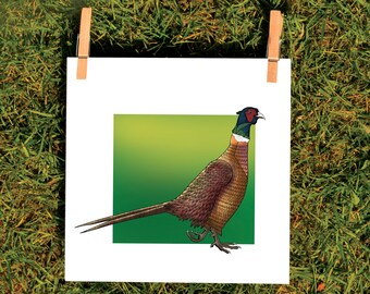 Pheasant Print - Small Square Art Print - 14.8 x 14.8cm - British Wildlife - Bird Art