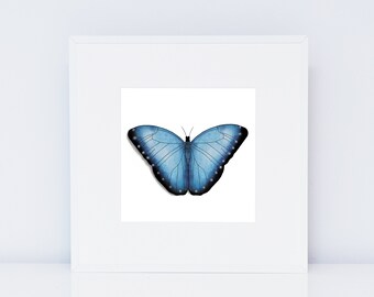 Blue Butterfly Square Art Print – Insect Illustration, Nature Decor