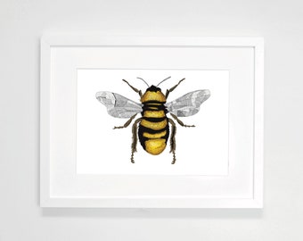 Bee Wall Art – Honey Bee Botanical Illustration Print, Nature Home Decor