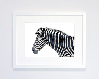 Zebra Print - Safari Print - Modern Print - Nature - Modern Zebra Print