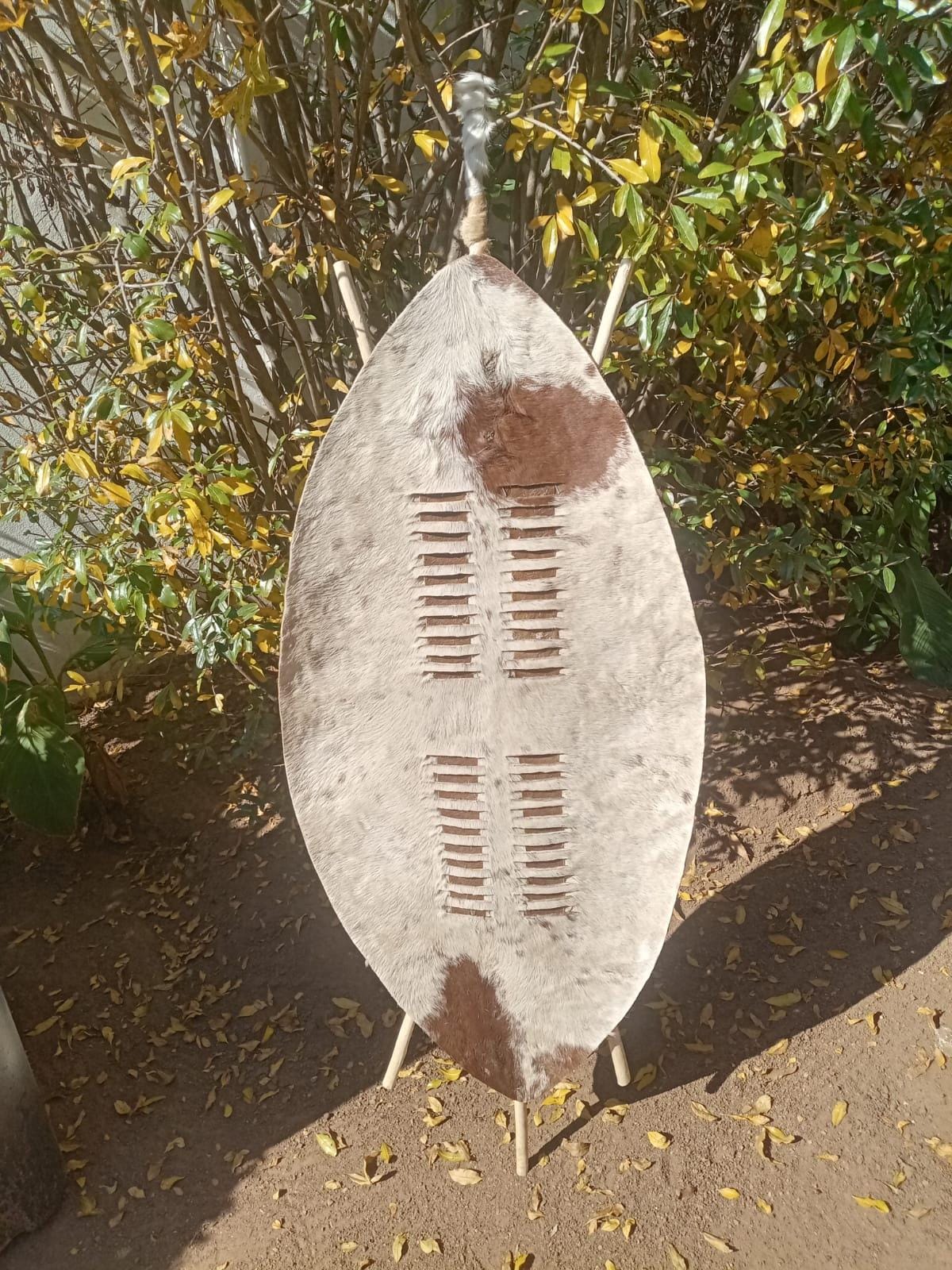 XXL Dark Brown & White Zulu Shield | 145cm Traditional Isihlangu