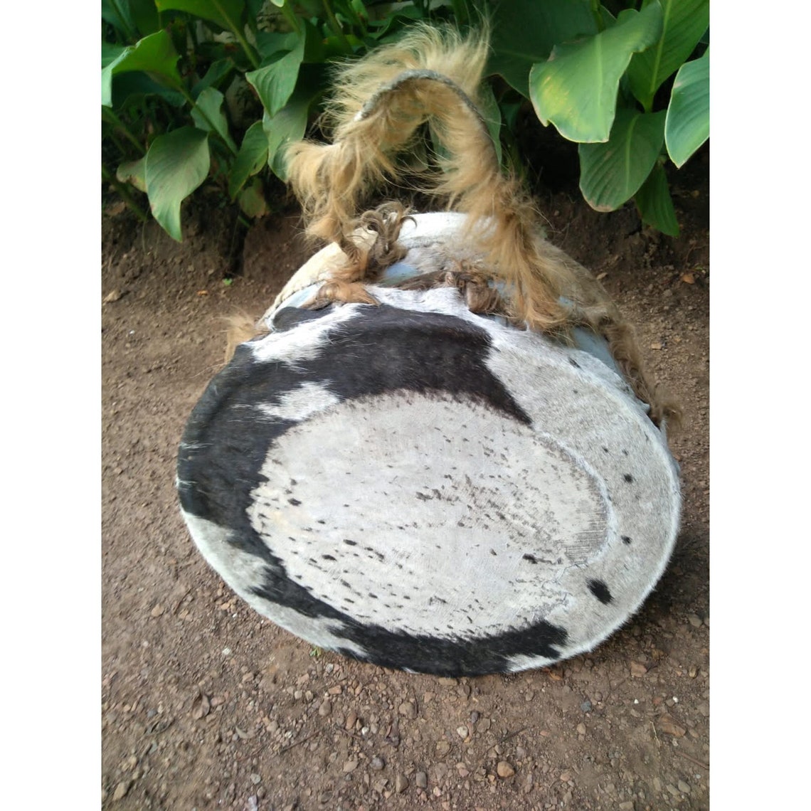 large-zulu-drum-authentic-cowhide-african-drums-african-musical