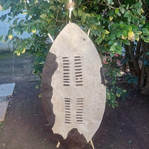 XXL 145cm Black Zulu Shield | Traditional African Warrior Isihlangu | Handmade Cowhide Cultural Decor