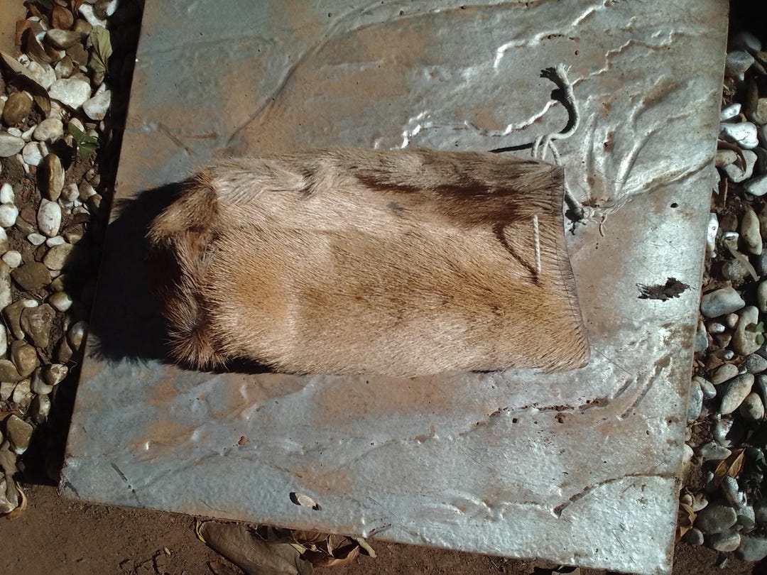 Real Springbok Hide Traditional Sangoma Diviner’s Small Animal Skin Bag ...