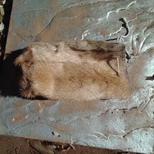 Puede incluir: Un artículo rectangular de piel marrón claro con parches marrones más oscuros. La piel es suave y texturizada. Una cuerda blanca está unida al artículo. El artículo descansa sobre una superficie gris texturizada.