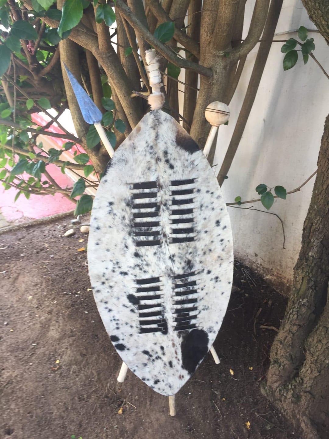 Zulu Shield Set 90cm 35in Real Cowhide With Spear and Knobkerrie