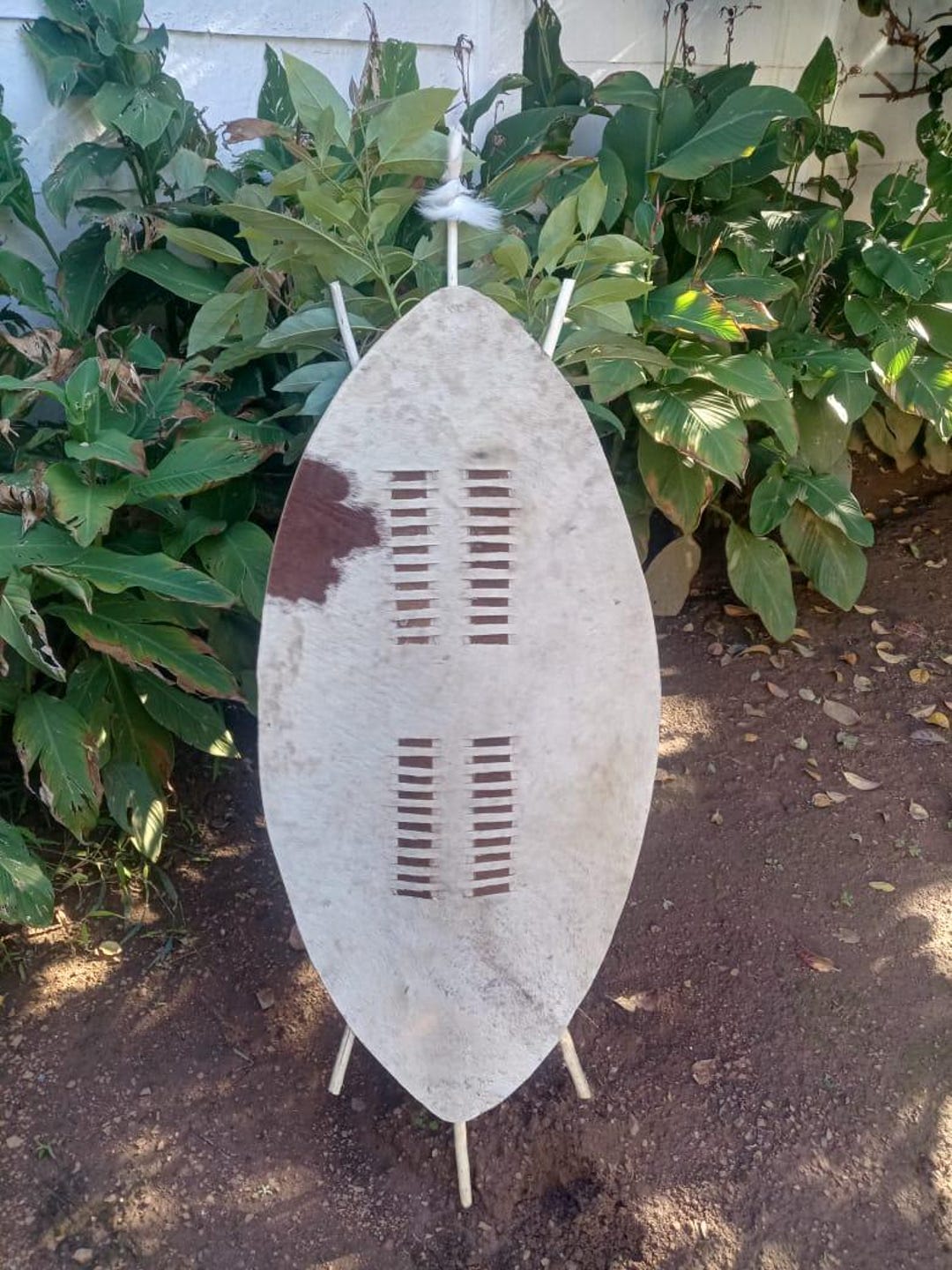 XL Brown and White Zulu Shield | 145cm X 55cm Genuine Cowhide