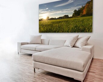 Summer Meadow - Poster / Photography