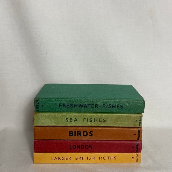 Vintage Observer Book Set - Prop - Display - Larger British Moths, London, Birds, Sea Fishes, Freshwater Fishes - 1950s 1960s 1970s - GC