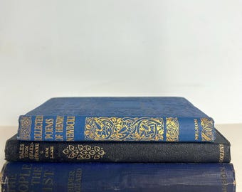 Vintage Book Bundle: Old Book Set / Antique Shelf Decor - Cottagecore