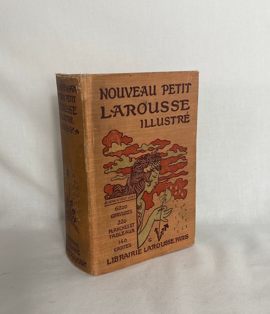 French Illustrated Dictionary Nouveau Petit Larousse Etsy UK