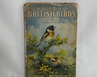 Vintage Ladybird Bird Book - 1954 Un terzo libro di uccelli britannici e i loro nidi - Prima edizione - 24 tavole a colori dell'artista Roland Green