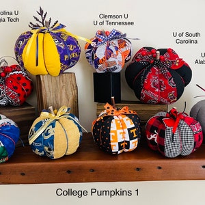College Pumpkins #1