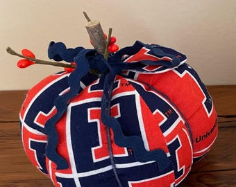 Handmade College Pumpkin: Team Decor, Sample Sale