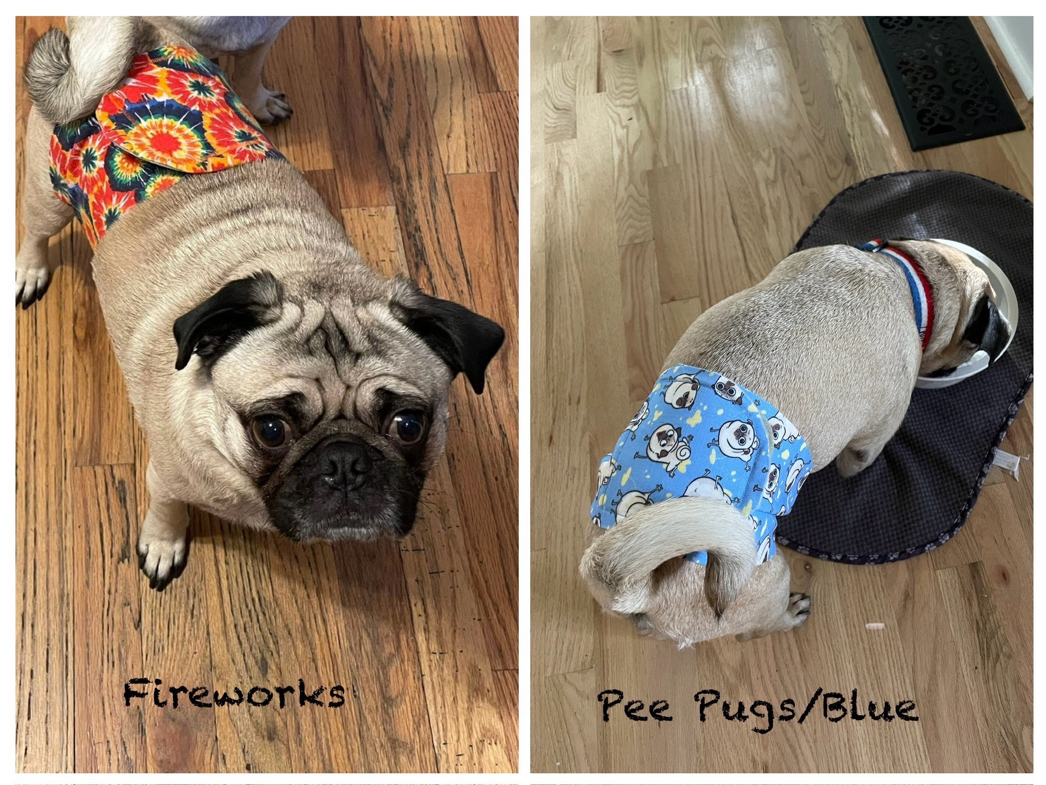 No sew dog belly band discount