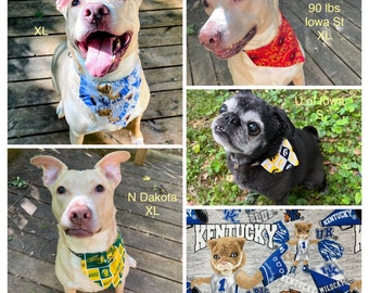 College Dog & Cat Scarves #2