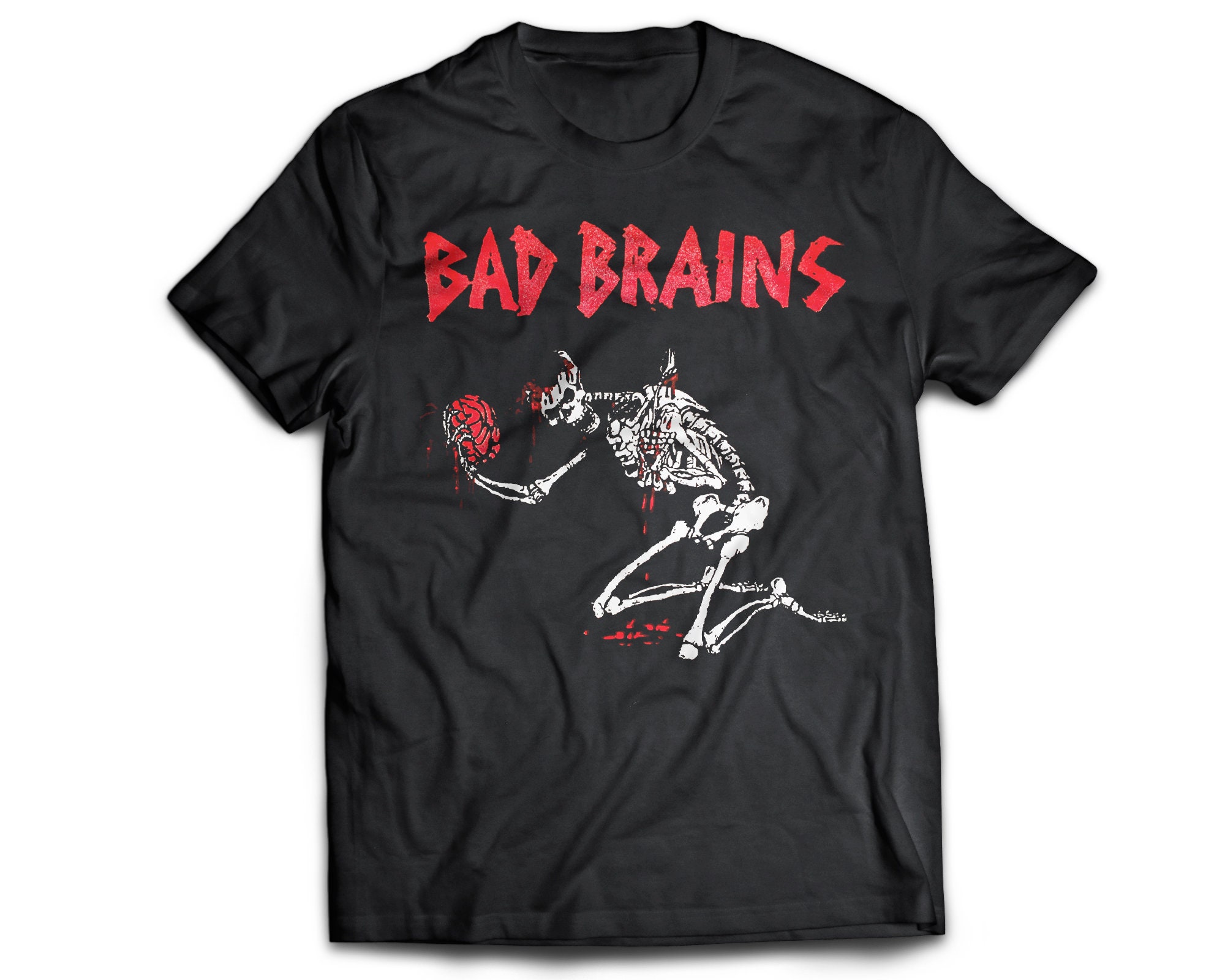 belle and sebastian bad brains shirt