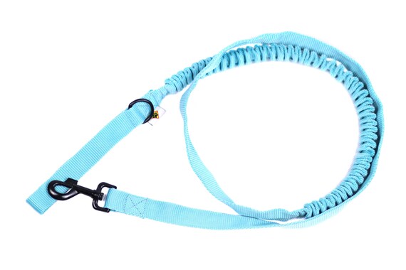 Redelijk gegevens effectief Bungee riem voor honden Sterke riem voor rennen met honden - Etsy Nederland