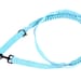 see more listings in the Bungee Leash section