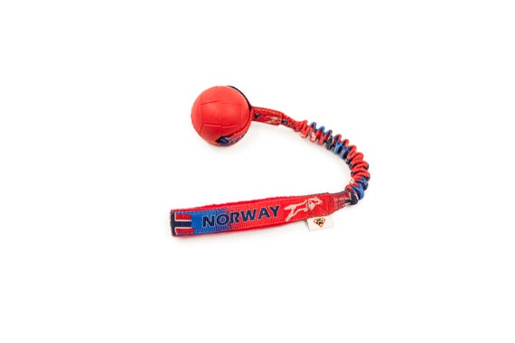 Floating dog toy deals
