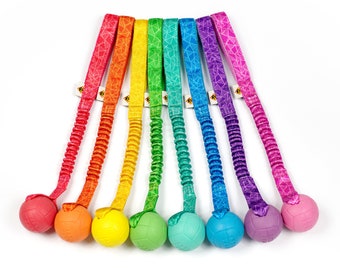 Basic tug toy with bungee handle and ball - Colorful toy for dogs - Durable rainbow dog toy