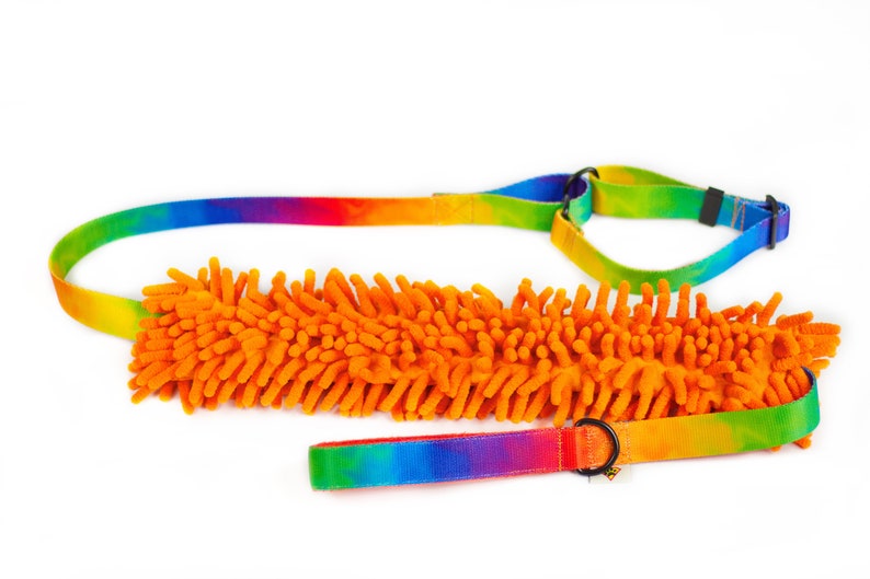 Competition leash for dogs Agility leash for sport dogs Dog lead Leash with tug toy Rainbow + orange