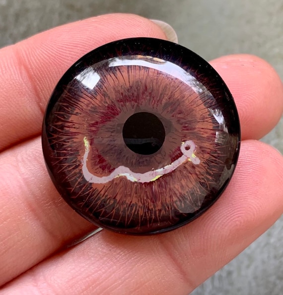 loa loa worm in eye