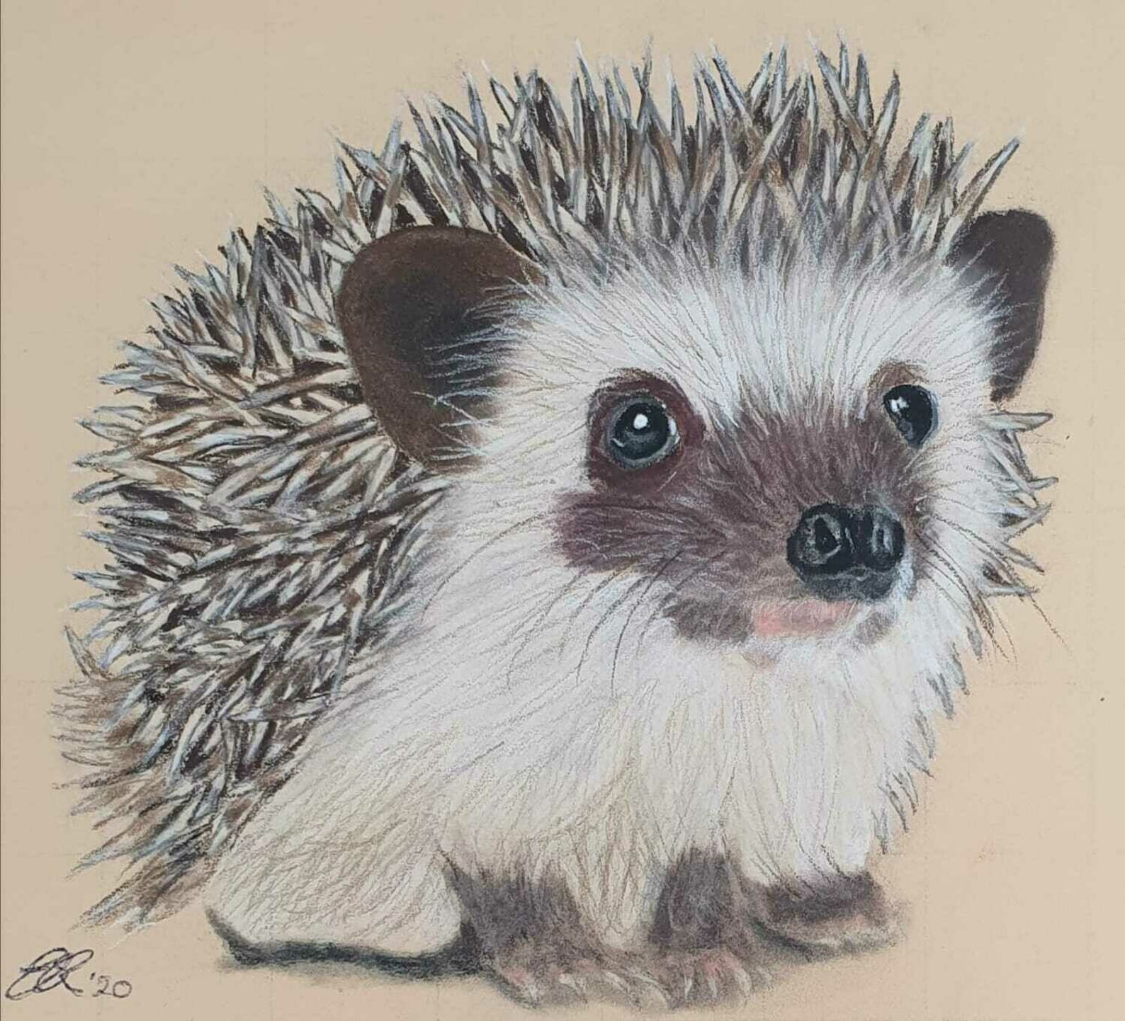 Cute Hedgehog Original Signed Pastel Painting A4 size | Etsy