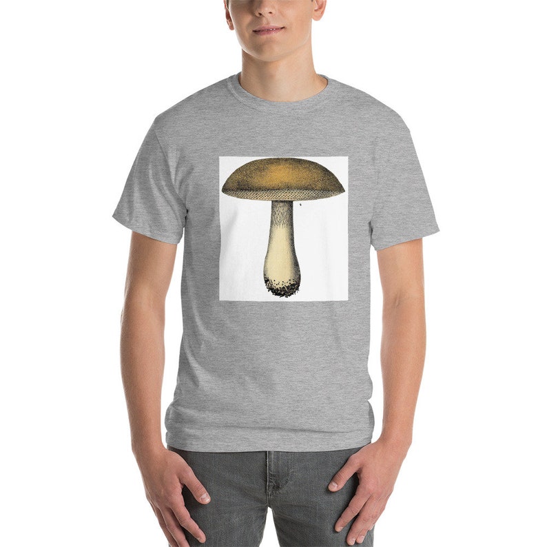 Mushroom 4