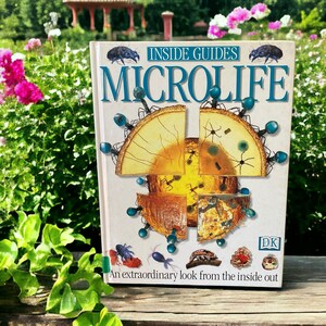 1997 &quot;INSIDE GUIDES: MICROLIFE&quot; David Burnie Vintage Hardcover Reference Book Illustrations Microscopic Life Science Homeschool Free Ship