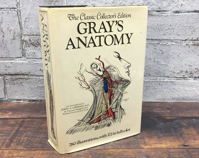 1977 Gray's Anatomy Henry Gray Anatomy Descriptive and - Etsy