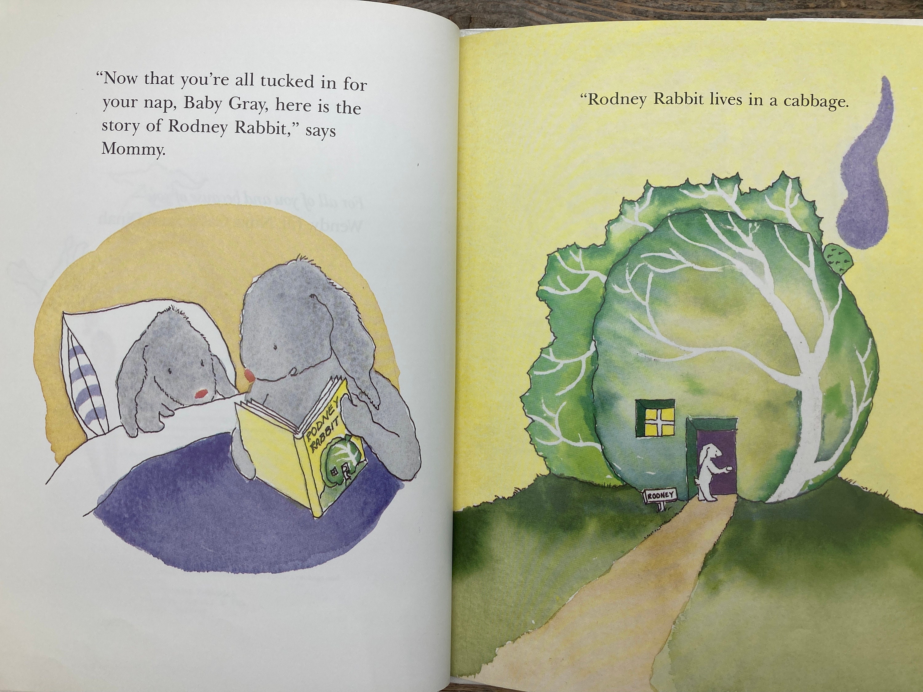 Radio Rescue by Lynne Barasch Radio Rescue by Lynne Barasch
