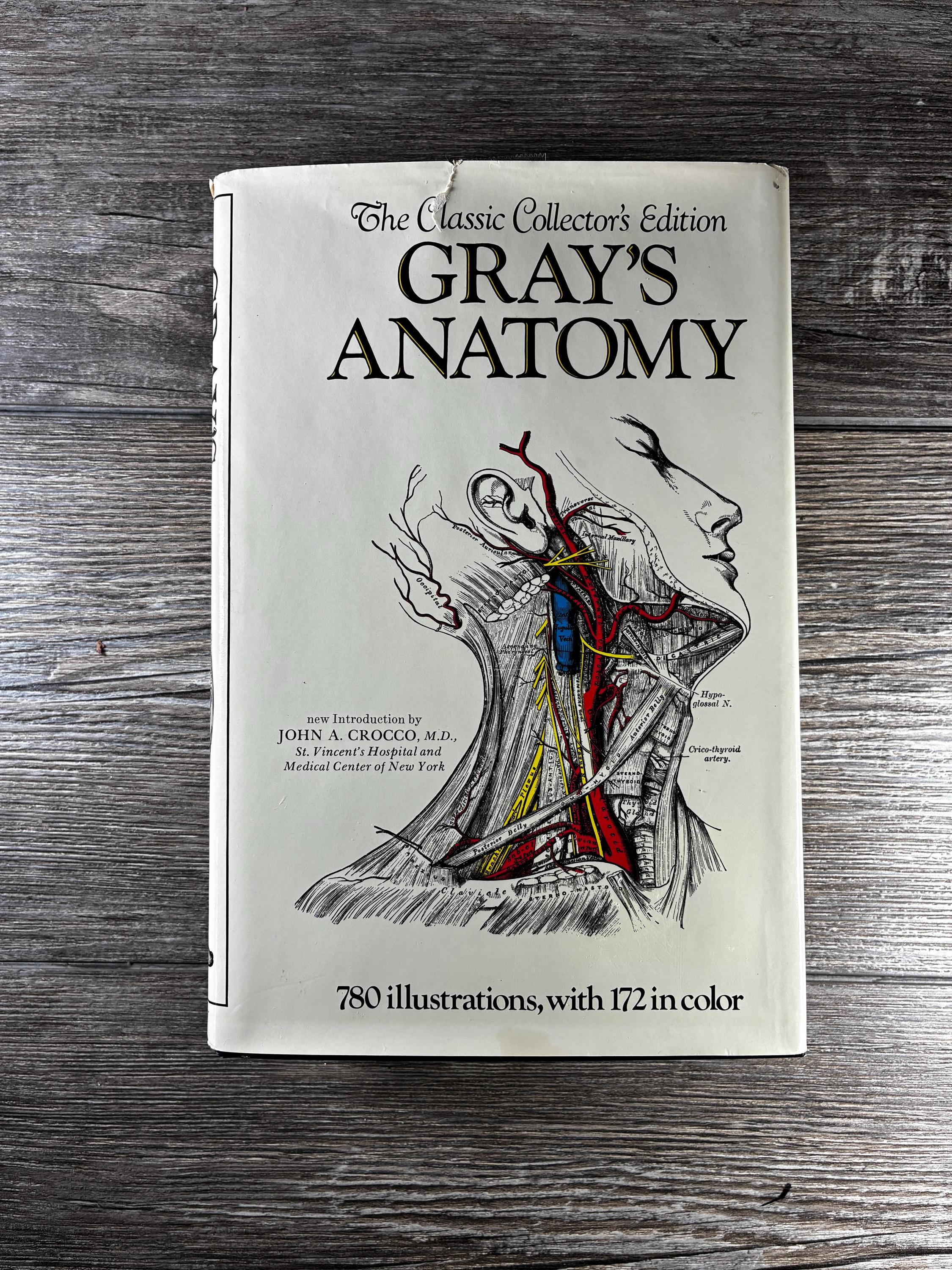 【新品未開封・コード未使用】Gray’s Anatomy42nd Edition Gray's Anatomy - 42nd Edition | Elsevier Shop