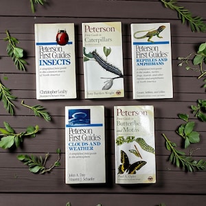 Vintage Peterson First Guides, 5 Softcover Nature Books, 1990s