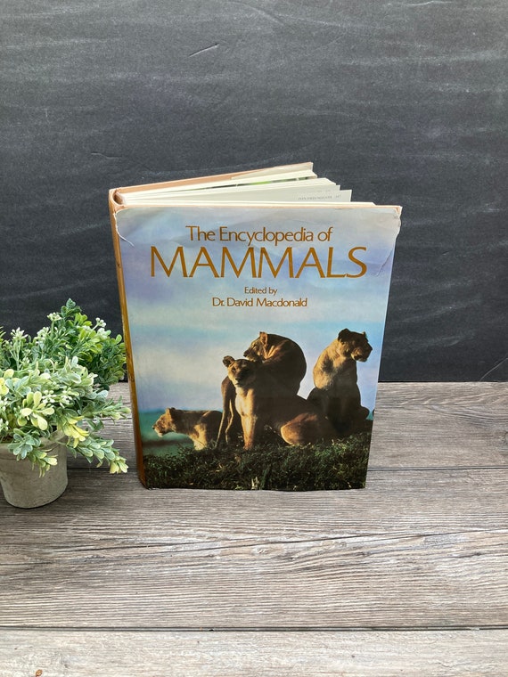 1987 Encyclopedia of Mammals: Vintage Hardcover Book With Dust