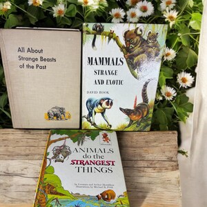 SET OF 3 ~ All About Strange Beasts of the Past / Animals Do the Strangest Things / Mammals-Strange and Exotic Children's Book Homeschool