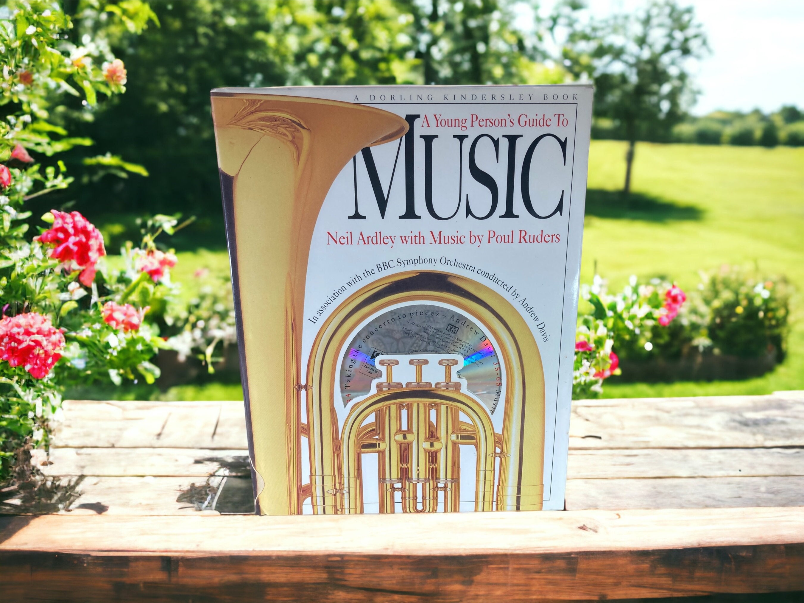A Young Person's Guide to MUSIC With CD ~ Neil Ardley / Paul Riders Vintage Hardcover CHildren's Book Illustrations Dust Jacket Homeschool