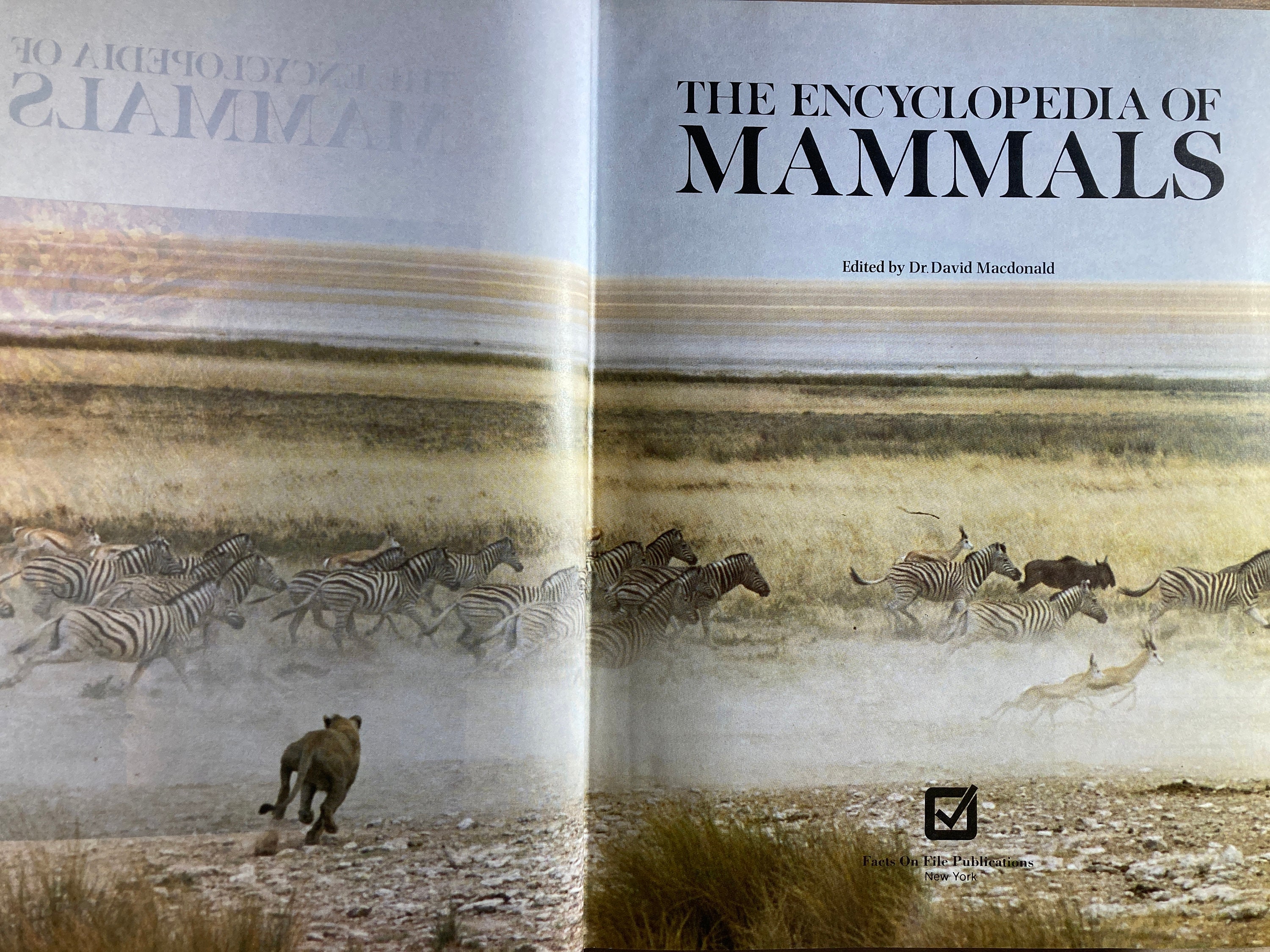 1987 Encyclopedia of Mammals: Vintage Hardcover Book With Dust