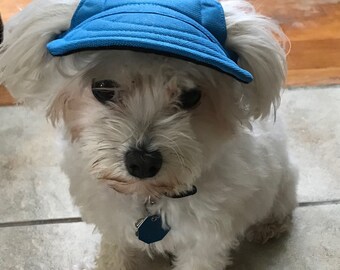 dog yankee hat